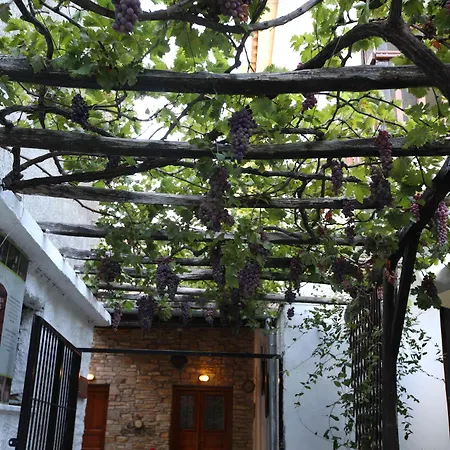 Hotel Mirto Áfissos