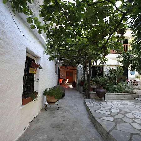 Mirto